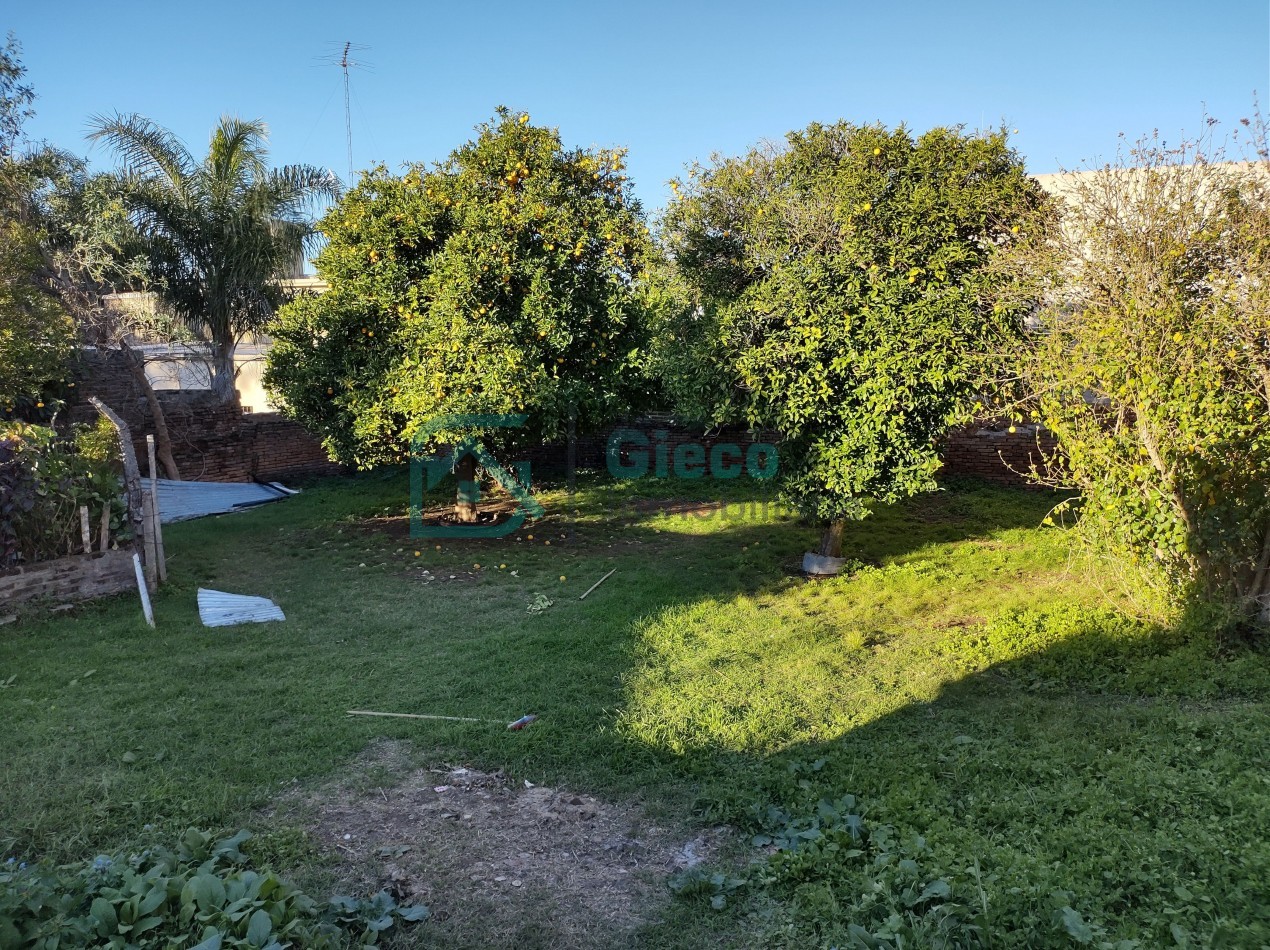 CASA San Martin 169