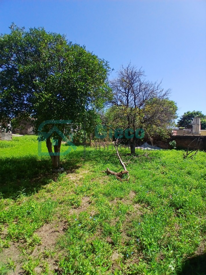 CASA San Martin 169