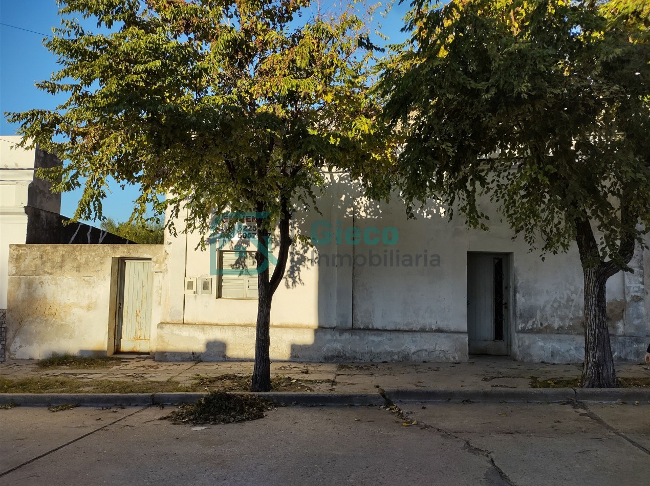 CASA San Martin 169