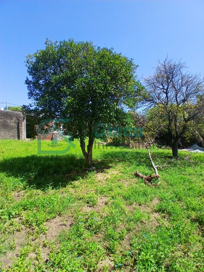 CASA San Martin 169