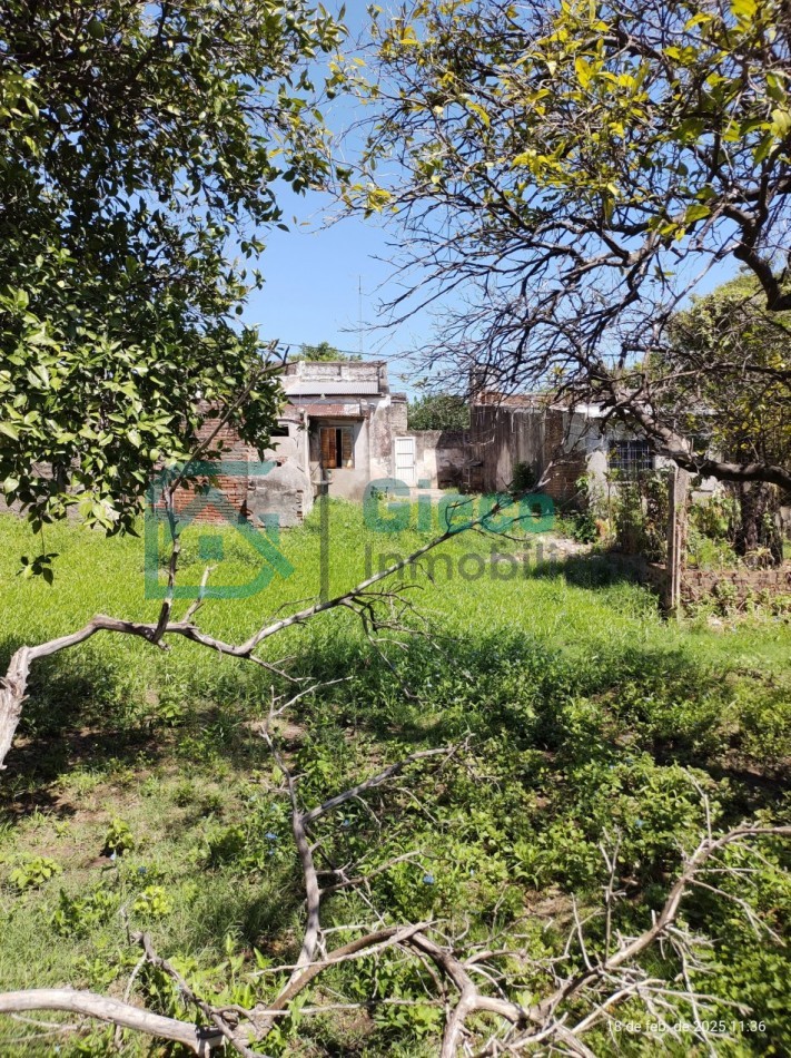 CASA San Martin 169