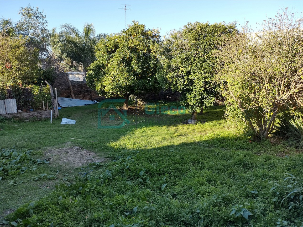 CASA San Martin 169