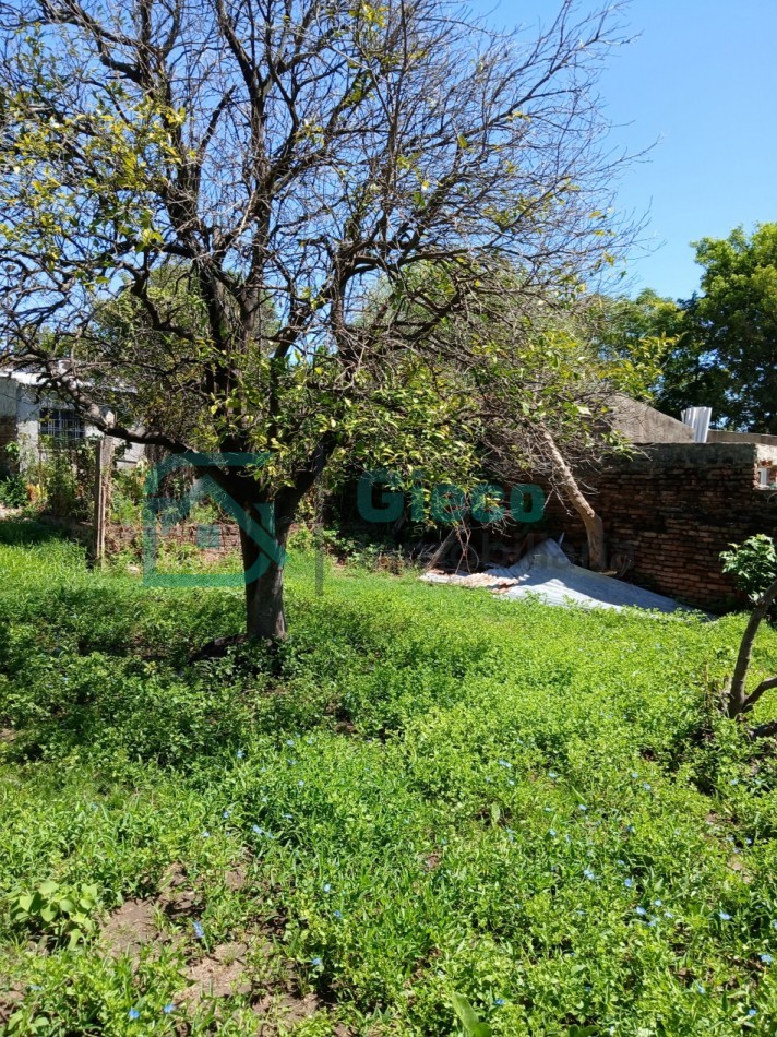 CASA San Martin 169