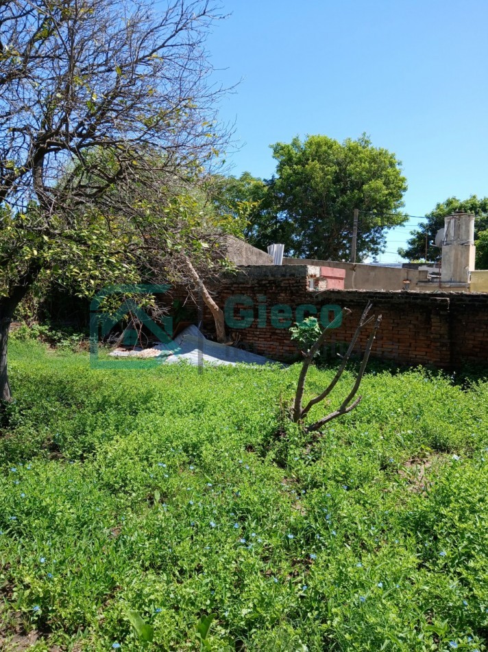 CASA San Martin 169