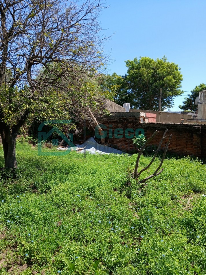 CASA San Martin 169