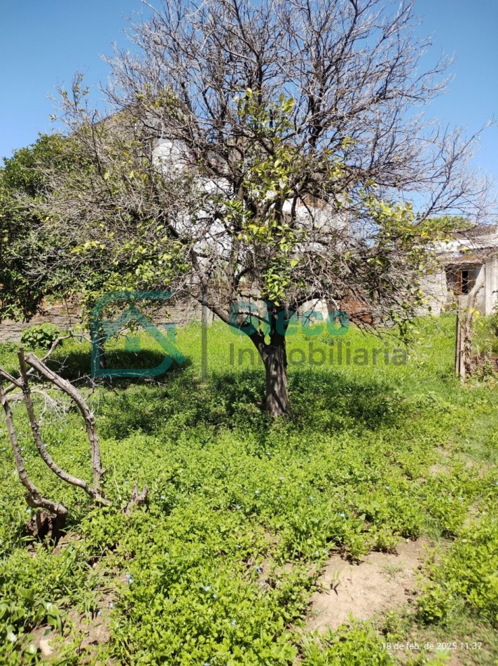 CASA San Martin 169