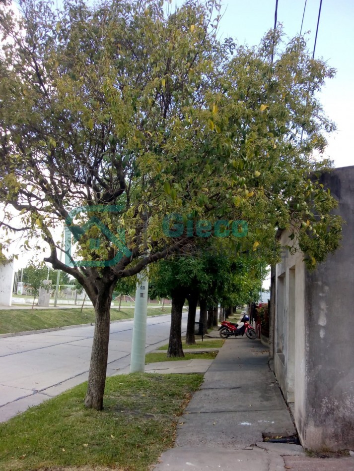 Casa Castilla Mira 591
